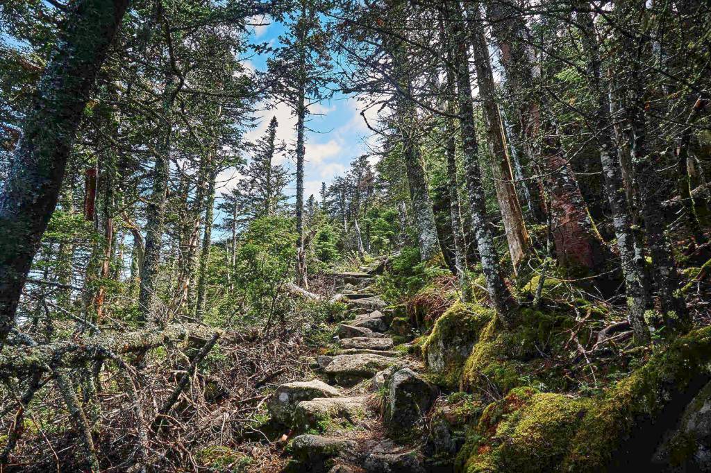 rugged hiking trail on a mountain