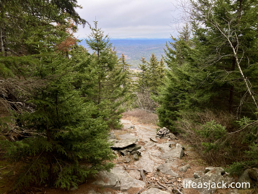A view from a hiking trail surrounded by evergreen trees