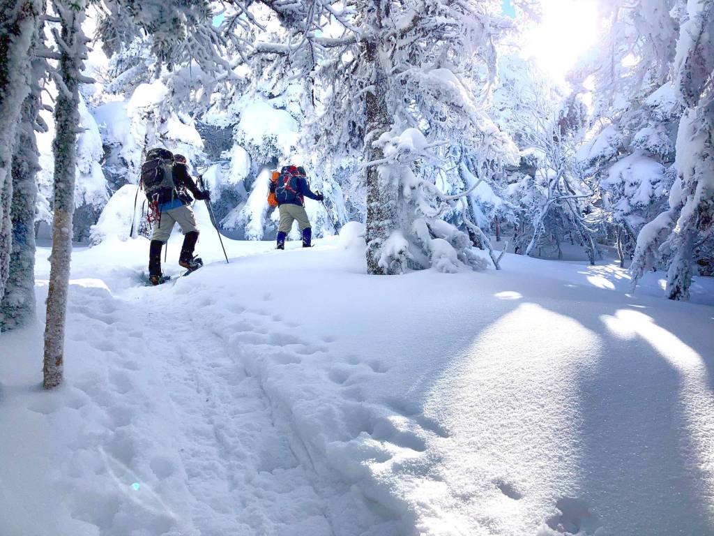 to hikers wearing snowshoes on a winter trail 