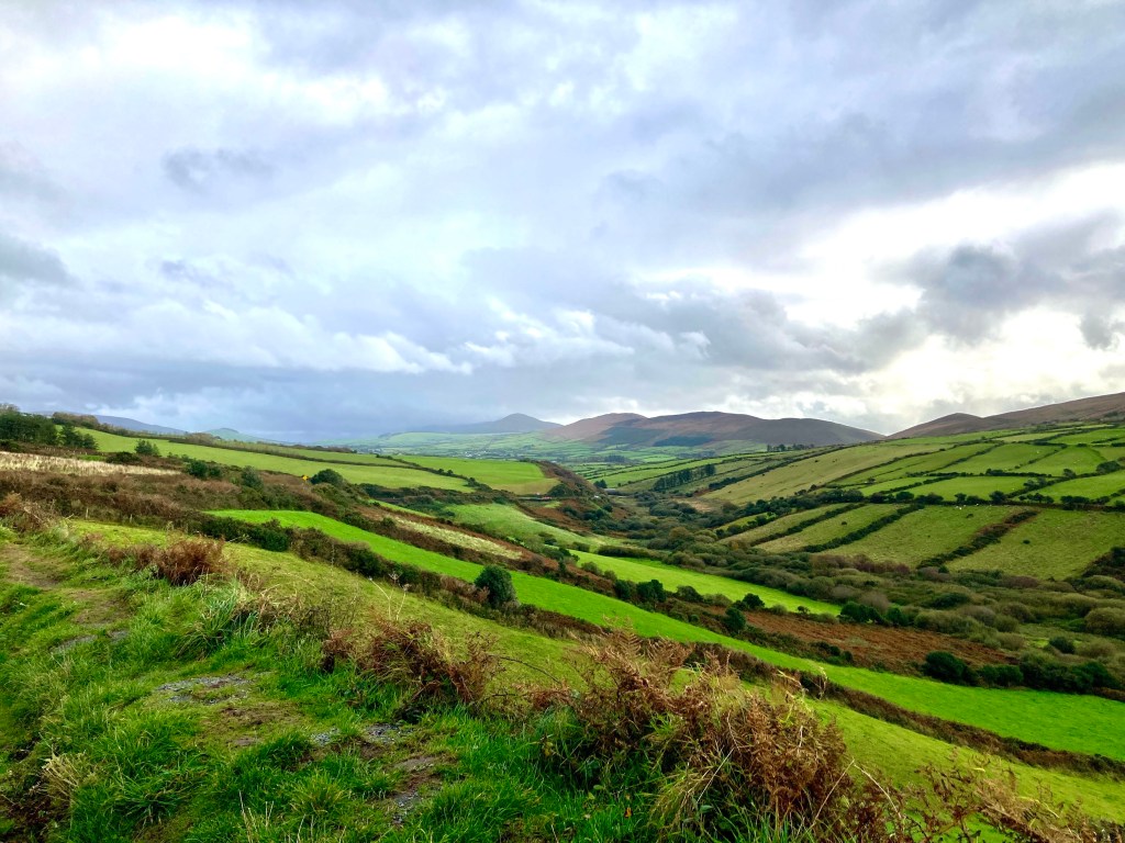 A view of divided plots of land, separated by stone walls and hedgerows in the irish countryside. The fields are a lush green, and the sky blue with whispy clouds