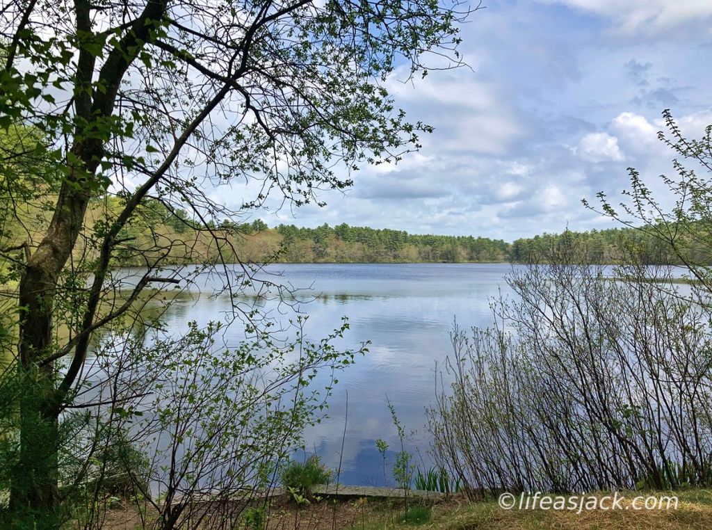 in the center of the image, a pond reflects the blue sky above. The pond is ringed by green trees in bloom