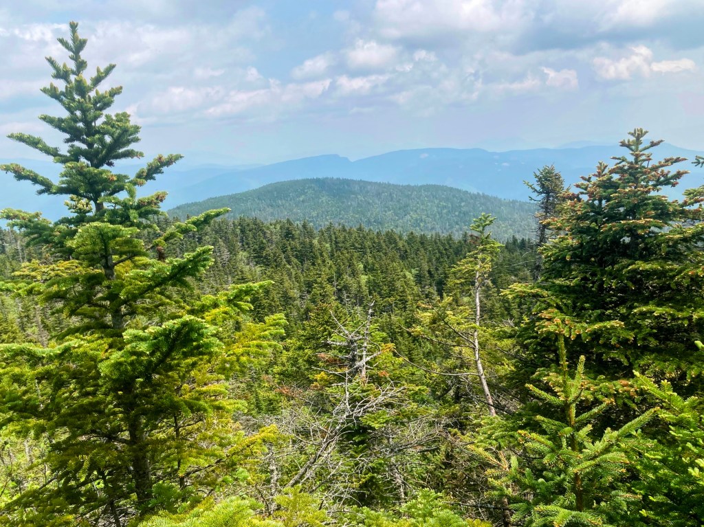 The view from the summit of Mount Nancy