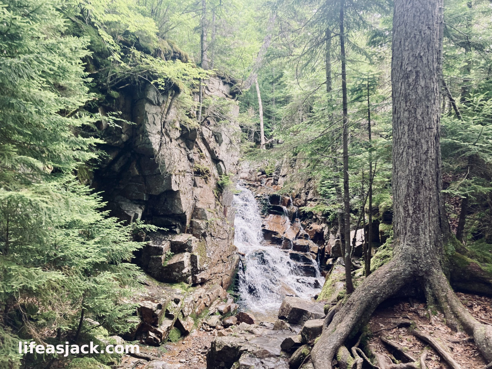 a waterfall cascades from a rocky brown cliff surrounded by evergreen trees