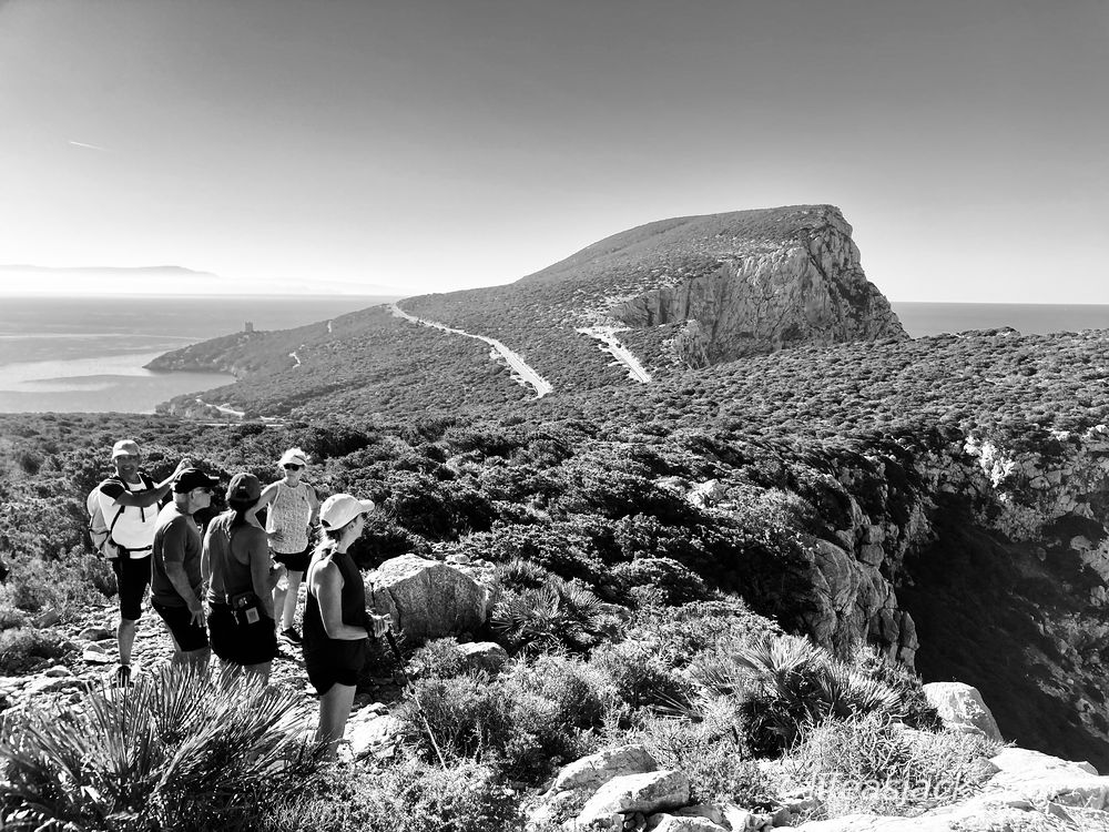 hikers on a trail in the bottom right corner of the image look out to sea over rugged cliffs.