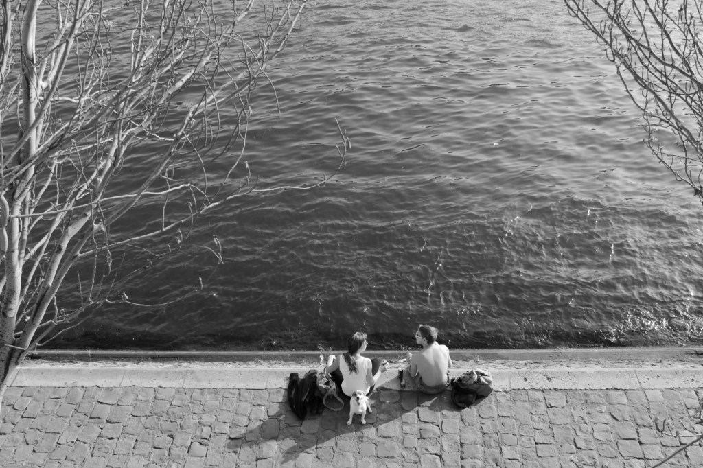 a man and woman with a small dog enjoy lunch along a river bank.