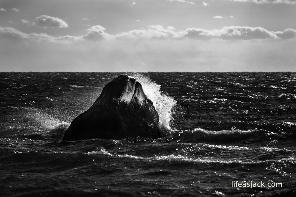 black and white image of waves crashing on rocks in heavy seas.