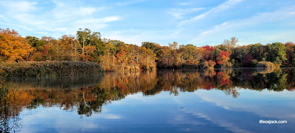 autumn foliage under va blue sky is reflected in a still pond.