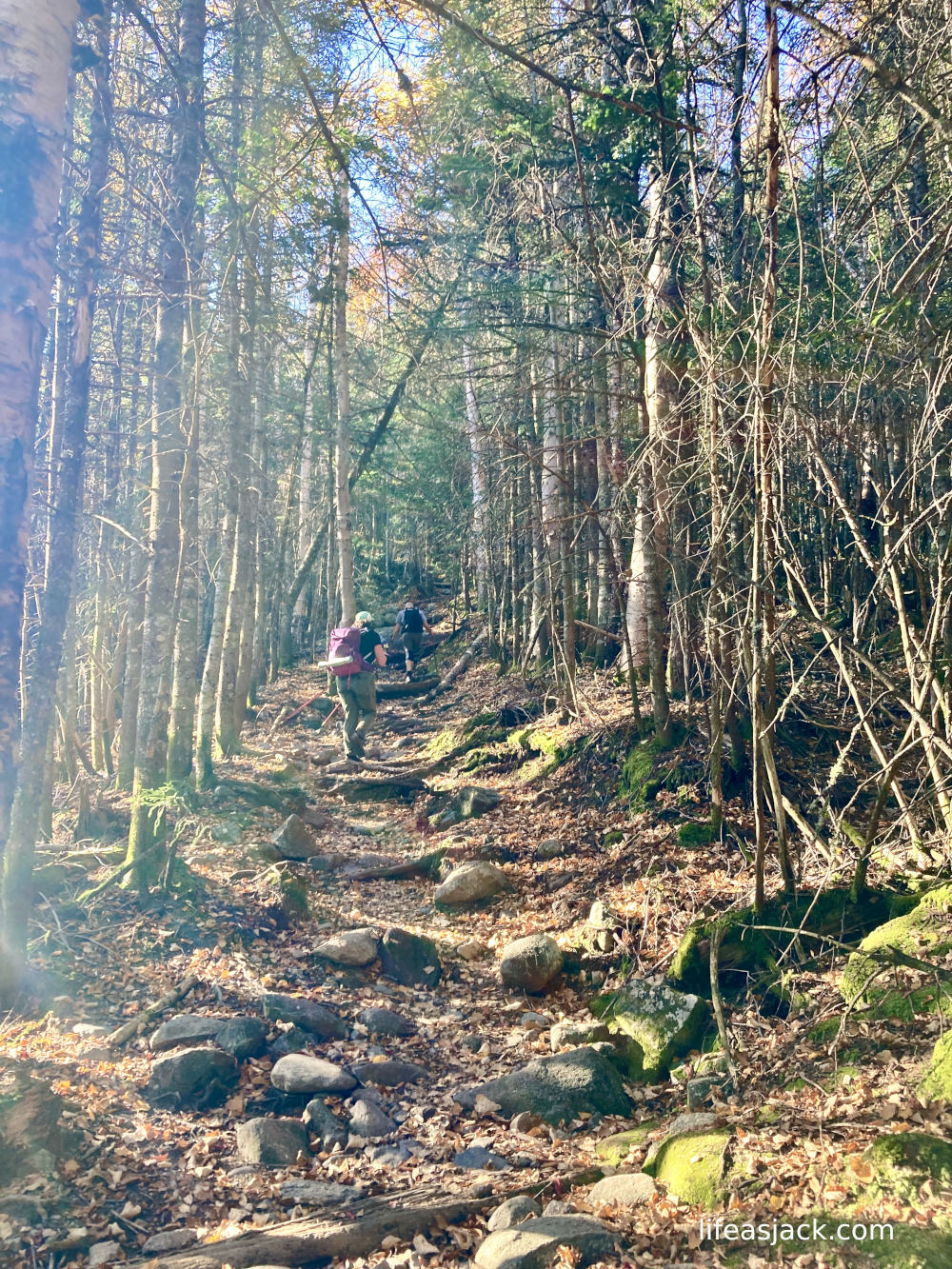 a hiker climbs a rocky trail in a forest