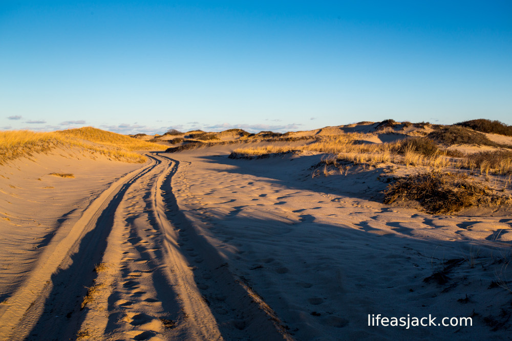 a set of tire tracks across a sand and dune landscape leading to the horizon under a blue sky.
