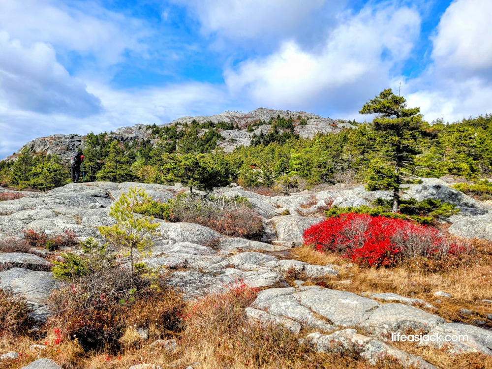 a rocky hiking trail with fall foliage