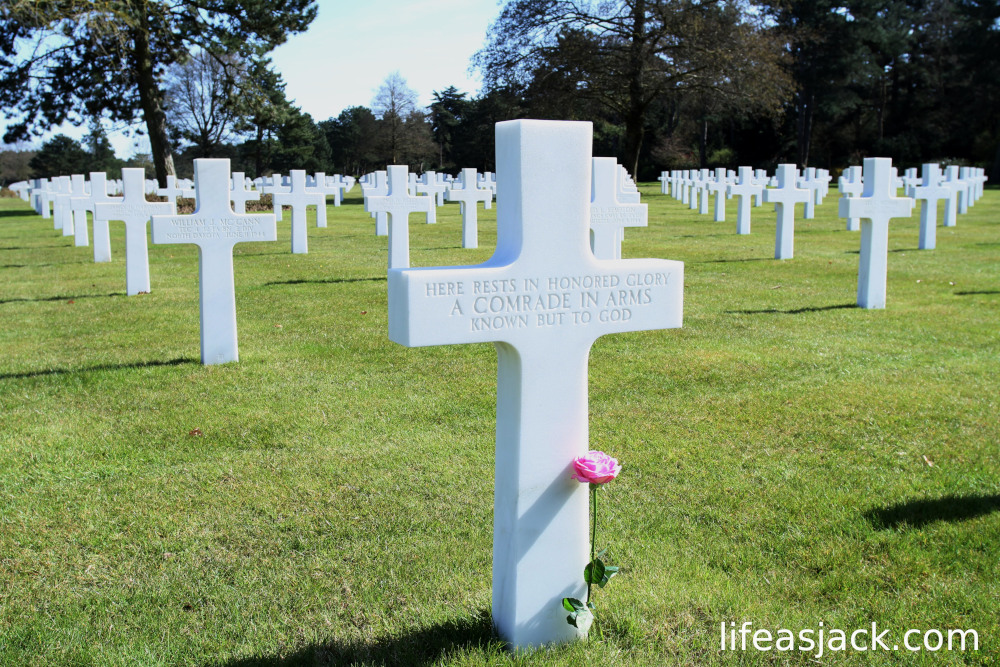 white crosses in a cemetery with a single rose placed at a marker