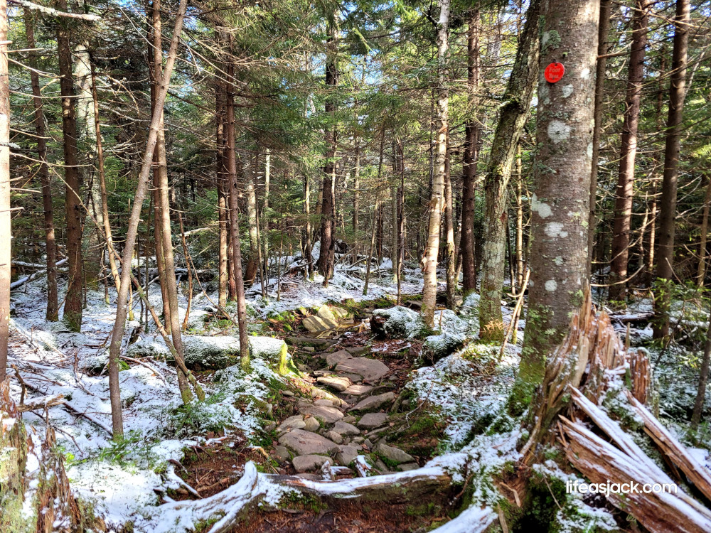 a snow covered forest trail