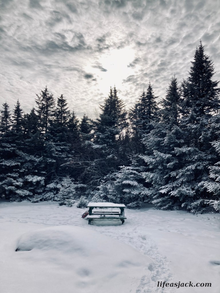 Winter sun setting on snow covered Balsam Trees.