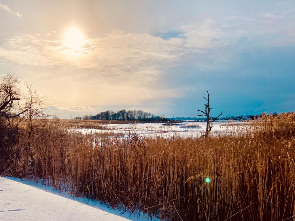 Winter Fashion Sense