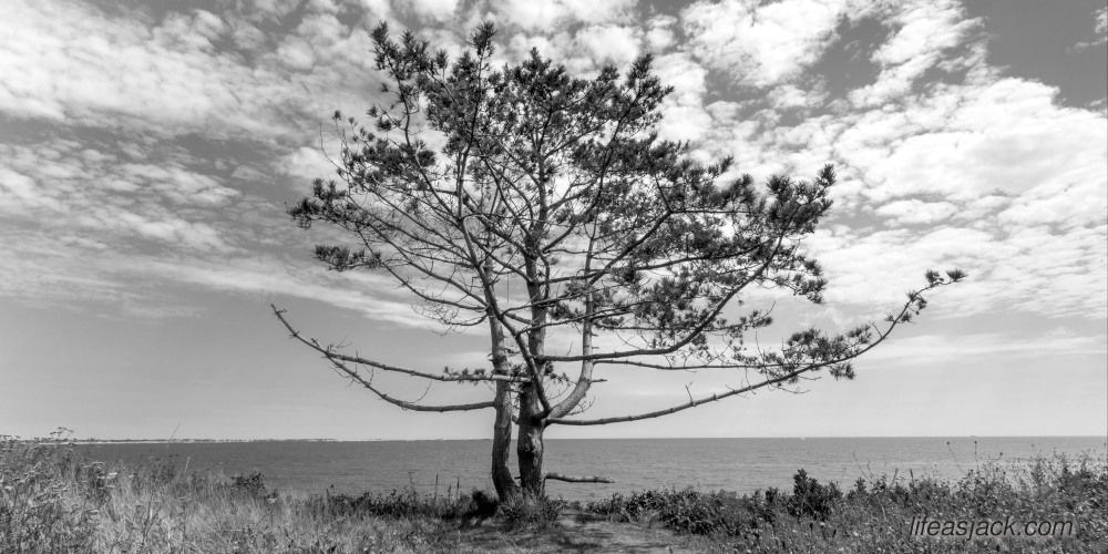 I Miss the&nbsp;Paper